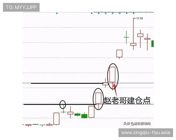 全面解析足彩体彩竞彩的规则与技巧帮助新手快速入门实现稳健盈利